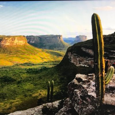 nt_tntn's profile picture. ⠀ ⠀✿ كل شيء يسبح لله ، فلا تكن أنت الغافل سبحَان الله ، والحمدُ لله ، ولا إله الا الله ، والله أكبر .❀