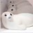 ryobluecat's profile image