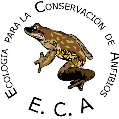 Es un grupo de investigación formado en el año 2016 con el objetivo de investigar y conocer sobre la situación de los anfibios (especialmente anuros) en Oaxaca.