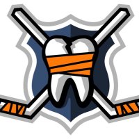 hockeyfights(@hockeyfights) 's Twitter Profile Photo
