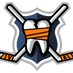 hockeyfights (@hockeyfights) Twitter profile photo