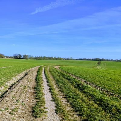 LianeRainbow's profile picture. People Operations lead, Tech enthusiast, Mum, nature lover and Feminist-In-Progress.