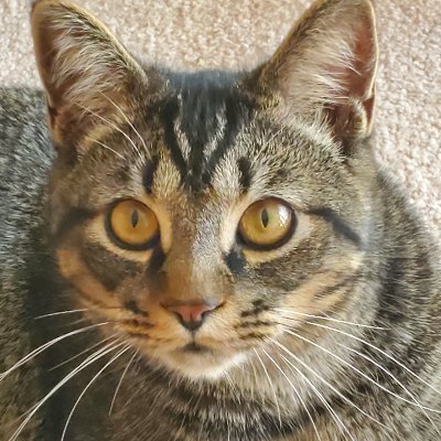 Deborah94313730's profile picture. 