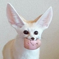 FennecEveryHour (@fenneceveryhour) 's Twitter Profile