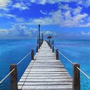 Bill Banks - @BillBanks0402 - Twitter