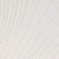 🧚 (@1darkseid3) 's Twitter Profile