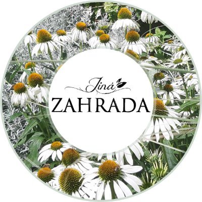 JinaZahrada Profile Picture