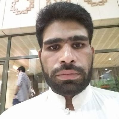 FalakSh35244943's profile picture. 