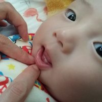 しおたろ (@murashotaro) Twitter profile photo
