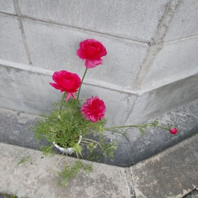 po9jDChcPqDONCS's profile picture. 日常で見つけた自然
美容と健康情報
日々考えたこと

紹介していきます。