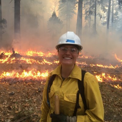 Berkeley ESPM PhD // Remote Sensing 🛰, Wildfires 🔥, Forest Carbon 🌲 she/her