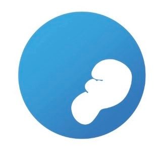 Medicina Fetal /Cirugía Fetal