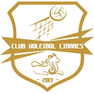 Iniciando el Voleibol en Linares. Algunas personas quieren que algo ocurra, otras sueñan con que pasará, otras hacen que suceda
