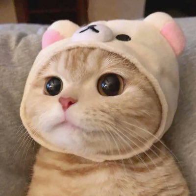 🎗선비さんのプロフィール画像