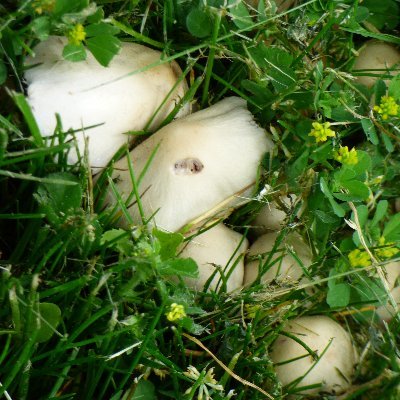 ArtistDays's profile picture. #traveljournalist #travel #travelwriter