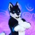 Dirty Prince Eclipse ๐ (@badhuskyeclipse) Twitter profile photo Dirty Prince Eclipse ๐ (@badhuskyeclipse) Twitter profile photo