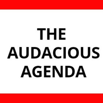 AUDACIOUS AGENDA YOUTH NETWORK (AAYN)