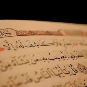 BelalAh90443671's profile picture. 