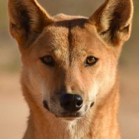 Kraven_Cox2323 (@kraven_cox2323) 's Twitter Profile