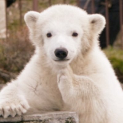あーちゃんさんのプロフィール画像