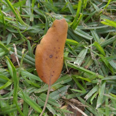 r3vimc's profile picture. She/her