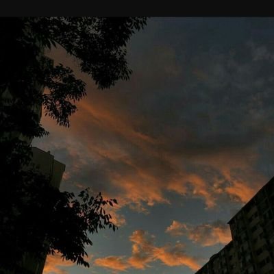 stup1dteenager's profile picture. 