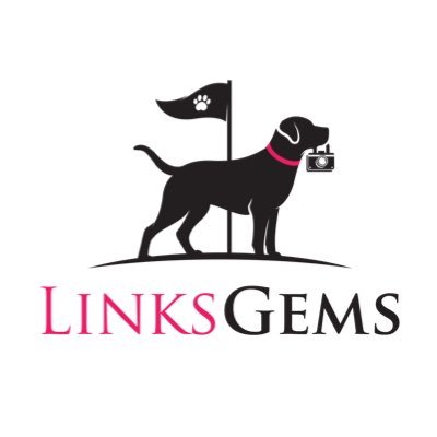 LinksGems Profile Picture