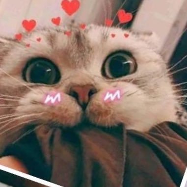 ได้กันเถอะถือว่าขอ นะป๋อนะ🍉さんのプロフィール画像