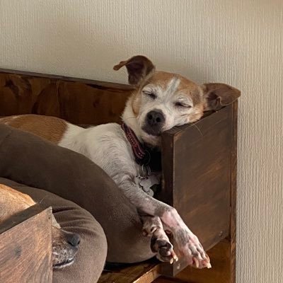 uco_oj's profile picture. 