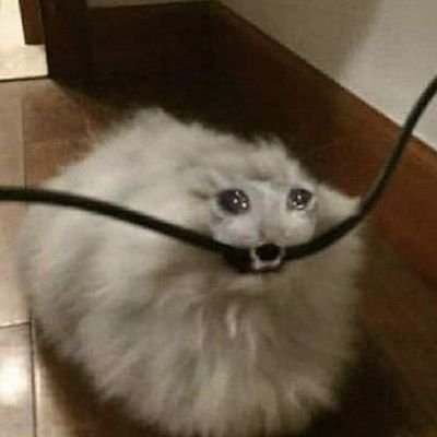 david_hassan2's profile picture. 😎 algo bueno tiene que pasar