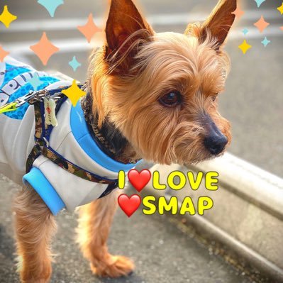 ako__taku's profile picture.