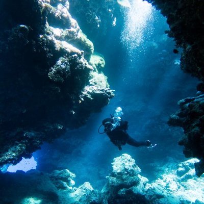 gcscnz's profile picture. 🌊 Always seeking work/dive balance
✈️ Amanxiwa kamili mbuya
💁🏻Views own etc.