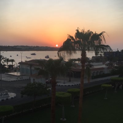 mish9999999's profile picture. 