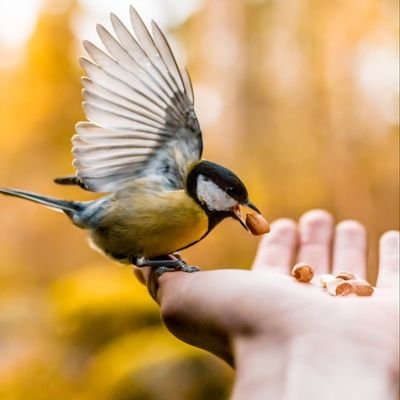 algunas0707's profile picture. 