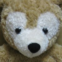 YUI＠ExIT代表 (@exit_yui) Twitter profile photo