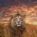 Son Of Solomon (@ckc_9) Twitter profile photo Son Of Solomon (@ckc_9) Twitter profile photo