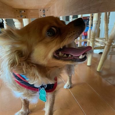 ang_betty's profile picture. she/her/hers |
queer |
Black Lives Matter |
Protect Trans kids