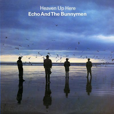 I love LFC. Boston Celtics fan. Mad about Music, Gigs, Vinyl and Film. Echo & the Bunnymen.