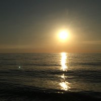 FoxtrotEcho ‼️🍀 (@echo_bet) Twitter profile photo