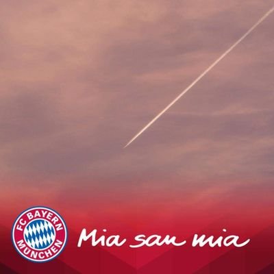 bergpass's profile picture. 