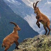 ispayeg (@ispayeg) Twitter profile photo