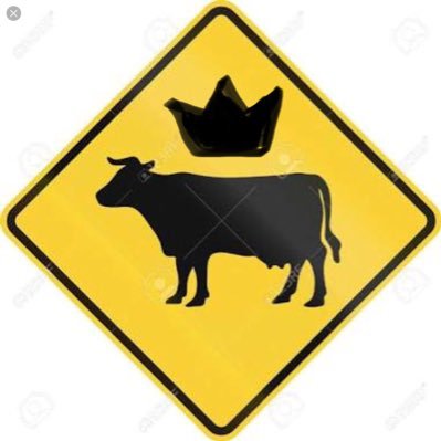 Nos cambiamos a ReyPeatonMx Profile