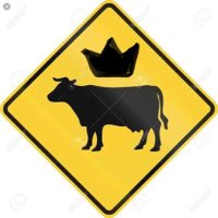 Nos cambiamos a ReyPeatonMx (@reypeatoncdmx) 's Twitter Profile