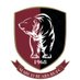 March Bears Rugby Club (@marchrufc) Twitter profile photo