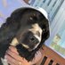 Mac (@oldwhizzpopper) Twitter profile photo Mac (@oldwhizzpopper) Twitter profile photo