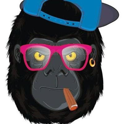 goofygaush's profile picture. IIT Bombay, SJMSOM.