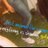 andii6's profile image