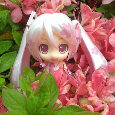 furu_death's profile picture. ふぐすまが好きです。
