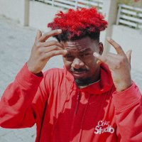 I Am The Flowolf 🐺 (@theflowolf) 's Twitter Profile