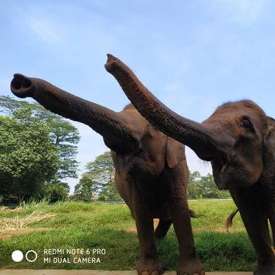 ajang silaturahmi dan mencari ilmu dunia akhirat